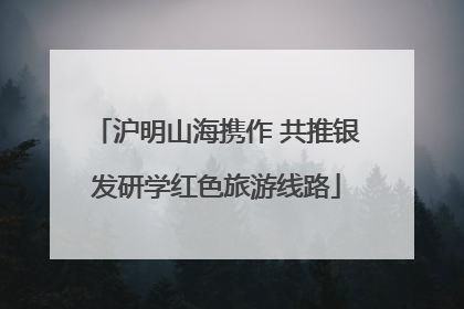沪明山海携作 共推银发研学红色旅游线路