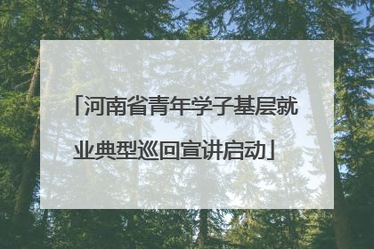 河南省青年学子基层就业典型巡回宣讲启动