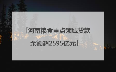 河南粮食重点领域贷款余额超2595亿元