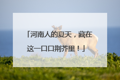 河南人的夏天，藏在这一口口荆芥里！