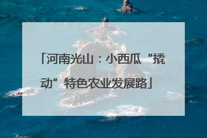河南光山：小西瓜“撬动”特色农业发展路