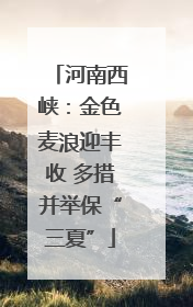 河南西峡：金色麦浪迎丰收 多措并举保“三夏”