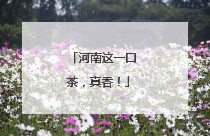 河南这一口茶，真香！