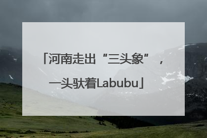 河南走出“三头象”，一头驮着Labubu