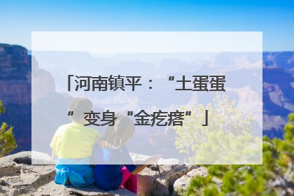 河南镇平：“土蛋蛋”变身“金疙瘩”