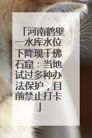 河南鹤壁一水库水位下降现千佛石窟：当地试过多种办法保护，目前禁止打卡