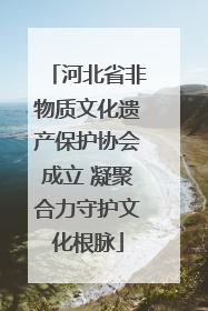 河北省非物质文化遗产保护协会成立 凝聚合力守护文化根脉