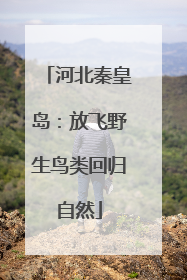 河北秦皇岛：放飞野生鸟类回归自然