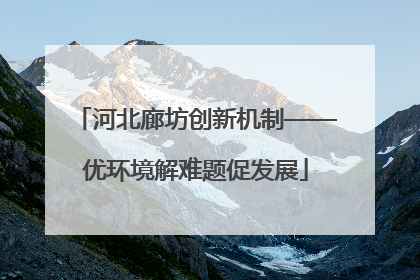河北廊坊创新机制——优环境解难题促发展
