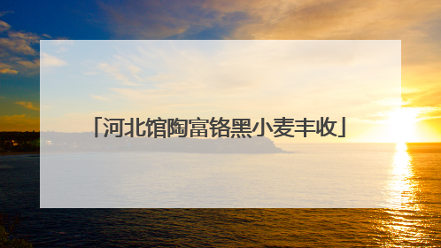河北馆陶富铬黑小麦丰收