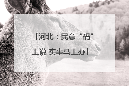 河北：民意“码”上说 实事马上办
