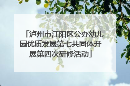 泸州市江阳区公办幼儿园优质发展第七共同体开展第四次研修活动