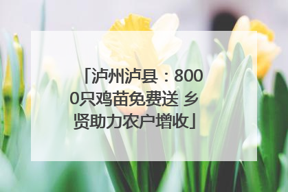 泸州泸县：8000只鸡苗免费送 乡贤助力农户增收