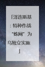 泽连斯基：特种作战“蛛网”为乌独立实施