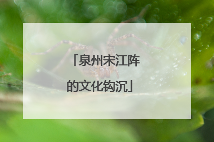 泉州宋江阵的文化钩沉