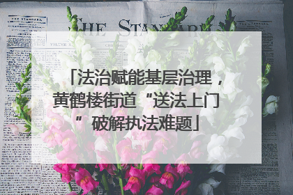 法治赋能基层治理，黄鹤楼街道“送法上门”破解执法难题