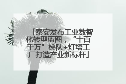 泰安发布工业数智化转型蓝图，“十百千万”梯队+灯塔工厂打造产业新标杆
