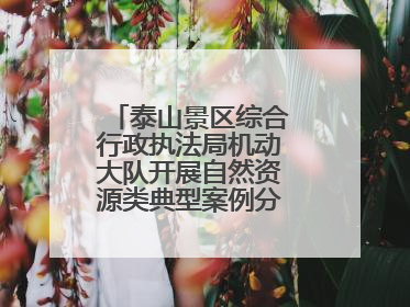 泰山景区综合行政执法局机动大队开展自然资源类典型案例分析交流活动