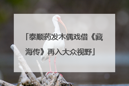 泰顺药发木偶戏借《藏海传》再入大众视野