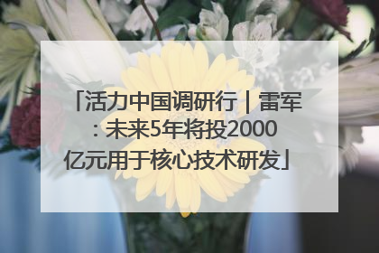 活力中国调研行｜雷军：未来5年将投2000亿元用于核心技术研发