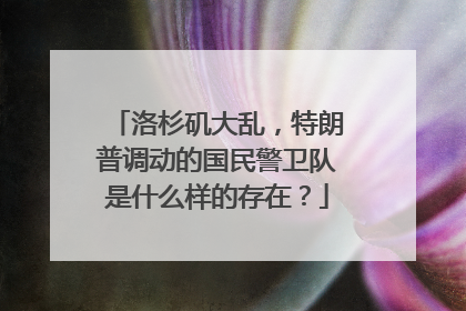 洛杉矶大乱，特朗普调动的国民警卫队是什么样的存在？
