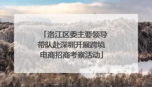 洛江区委主要领导带队赴深圳开展跨境电商招商考察活动