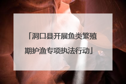 洞口县开展鱼类繁殖期护渔专项执法行动