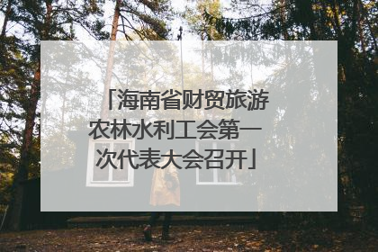 海南省财贸旅游农林水利工会第一次代表大会召开