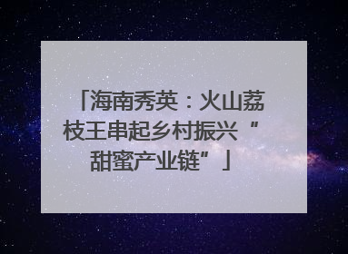 海南秀英：火山荔枝王串起乡村振兴“甜蜜产业链”