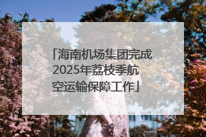 海南机场集团完成2025年荔枝季航空运输保障工作