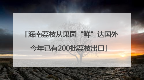 海南荔枝从果园“鲜”达国外 今年已有200批荔枝出口