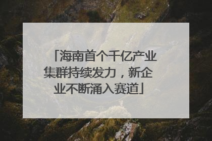 海南首个千亿产业集群持续发力，新企业不断涌入赛道