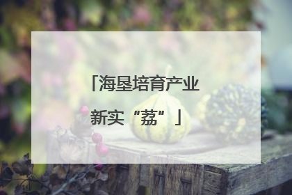 海垦培育产业新实“荔”