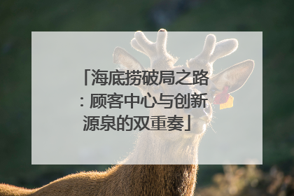 海底捞破局之路：顾客中心与创新源泉的双重奏