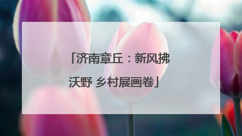 济南章丘：新风拂沃野 乡村展画卷