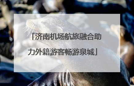 济南机场航旅融合助力外籍游客畅游泉城