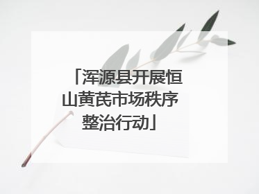 浑源县开展恒山黄芪市场秩序整治行动