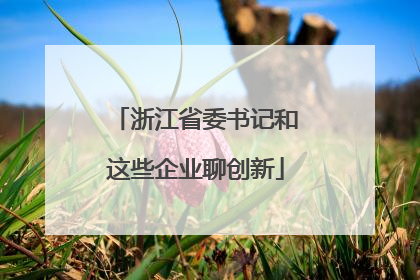 浙江省委书记和这些企业聊创新