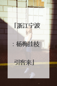 浙江宁波：杨梅挂枝引客来