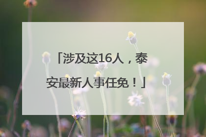 涉及这16人，泰安最新人事任免！