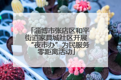 淄博市张店区和平街道家具城社区开展“夜市办”为民服务零距离活动