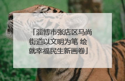 淄博市张店区马尚街道以文明为笔 绘就幸福民生新画卷