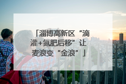 淄博高新区“滴灌+氮肥后移”让麦浪变“金浪”