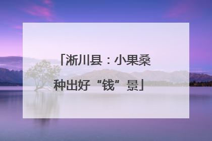 淅川县：小果桑种出好“钱”景