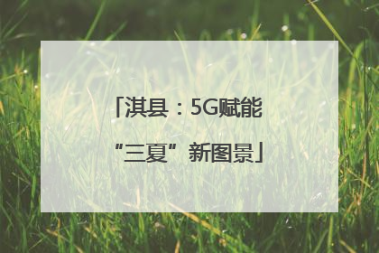 淇县：5G赋能“三夏”新图景