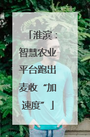 淮滨：智慧农业平台跑出麦收“加速度”