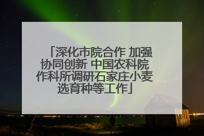 深化市院合作 加强协同创新 中国农科院作科所调研石家庄小麦选育种等工作