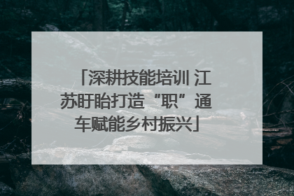 深耕技能培训 江苏盱眙打造“职”通车赋能乡村振兴