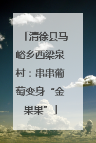 清徐县马峪乡西梁泉村：串串葡萄变身“金果果”
