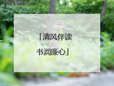 清风伴读 书润廉心